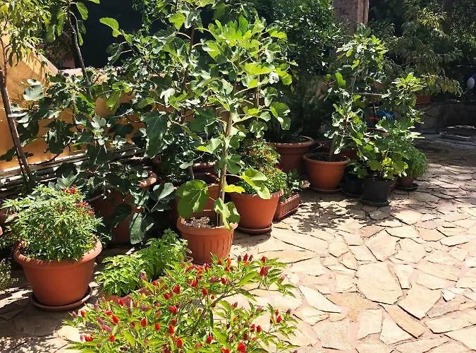 Mare Turchese * Cala Liberotto