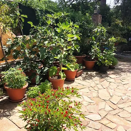 Mare Turchese * カーラ・リベロット