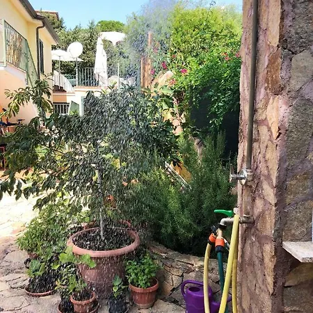 Mare Turchese * カーラ・リベロット