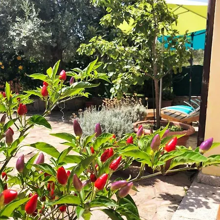 Mare Turchese アパート カーラ・リベロット