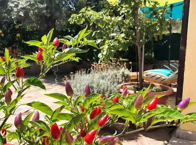 Mare Turchese Apartament Cala Liberotto